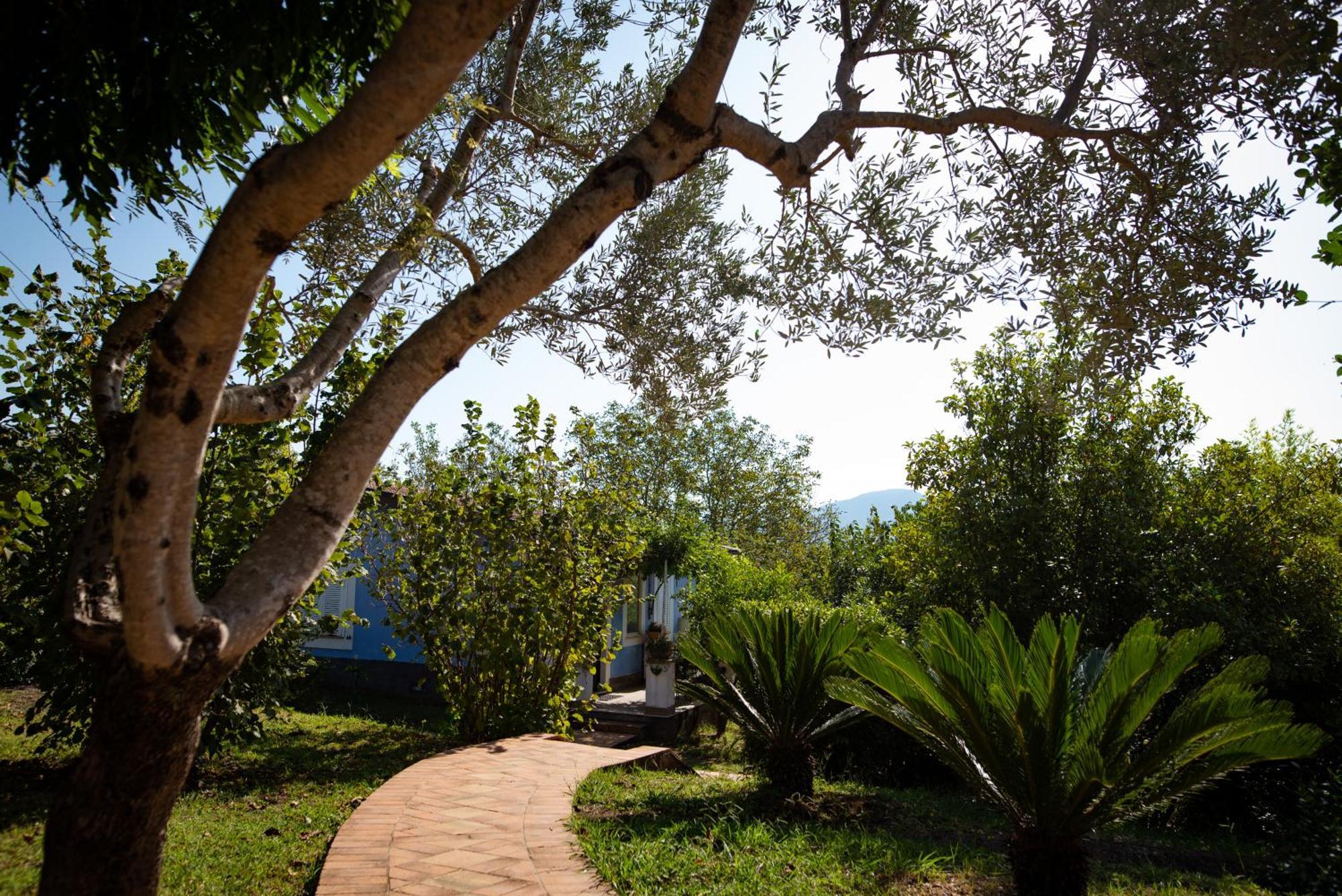 Hotel Villa Rizzo Resort And Spa San Cipriano Picentino Exterior foto